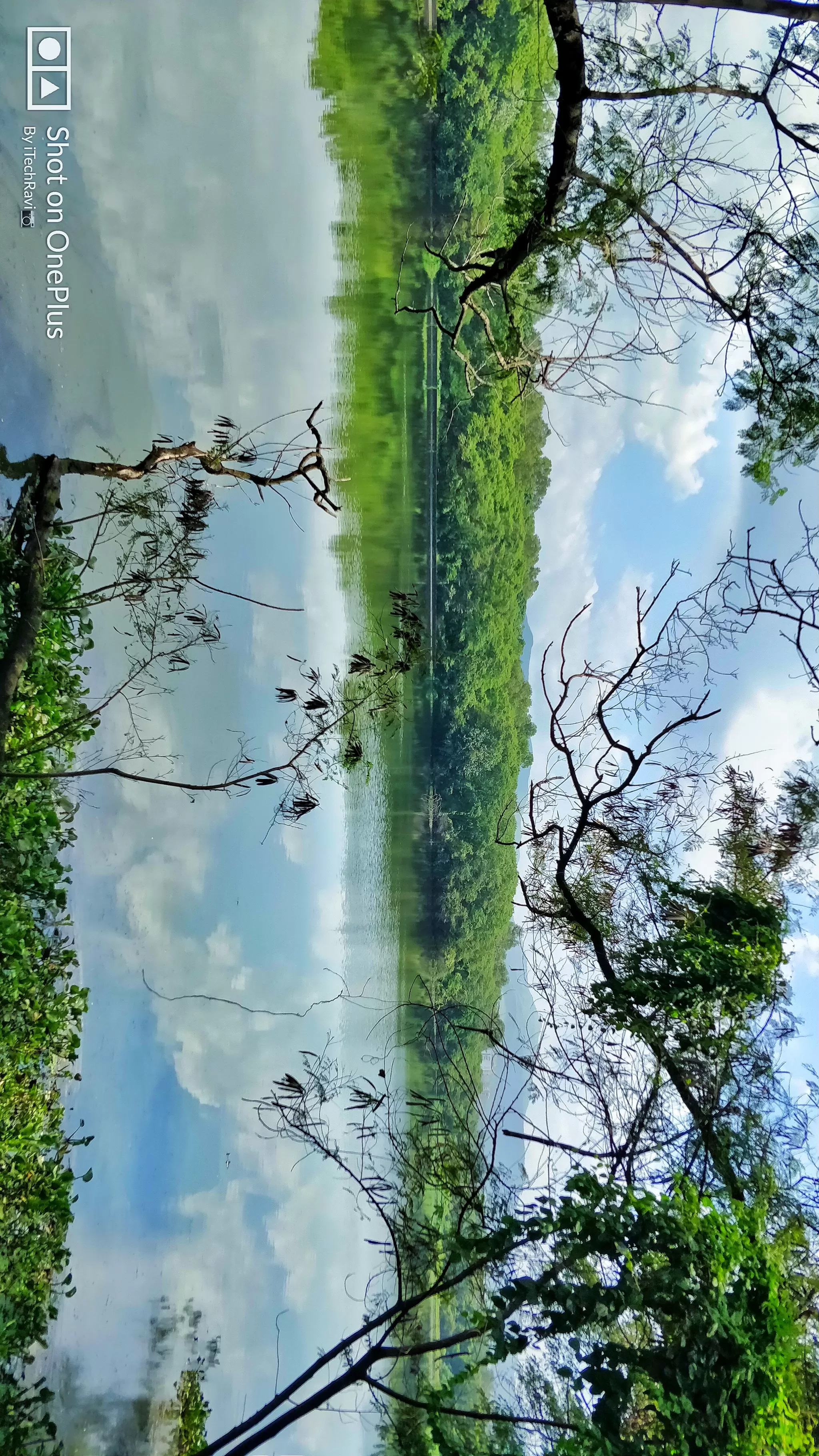 Photo of Rajiv Gandhi Zoological Park, Pune