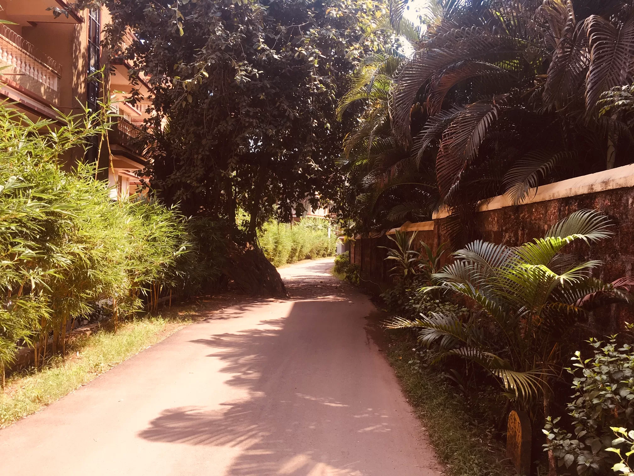 Photo of deltin jaqk, Panjim