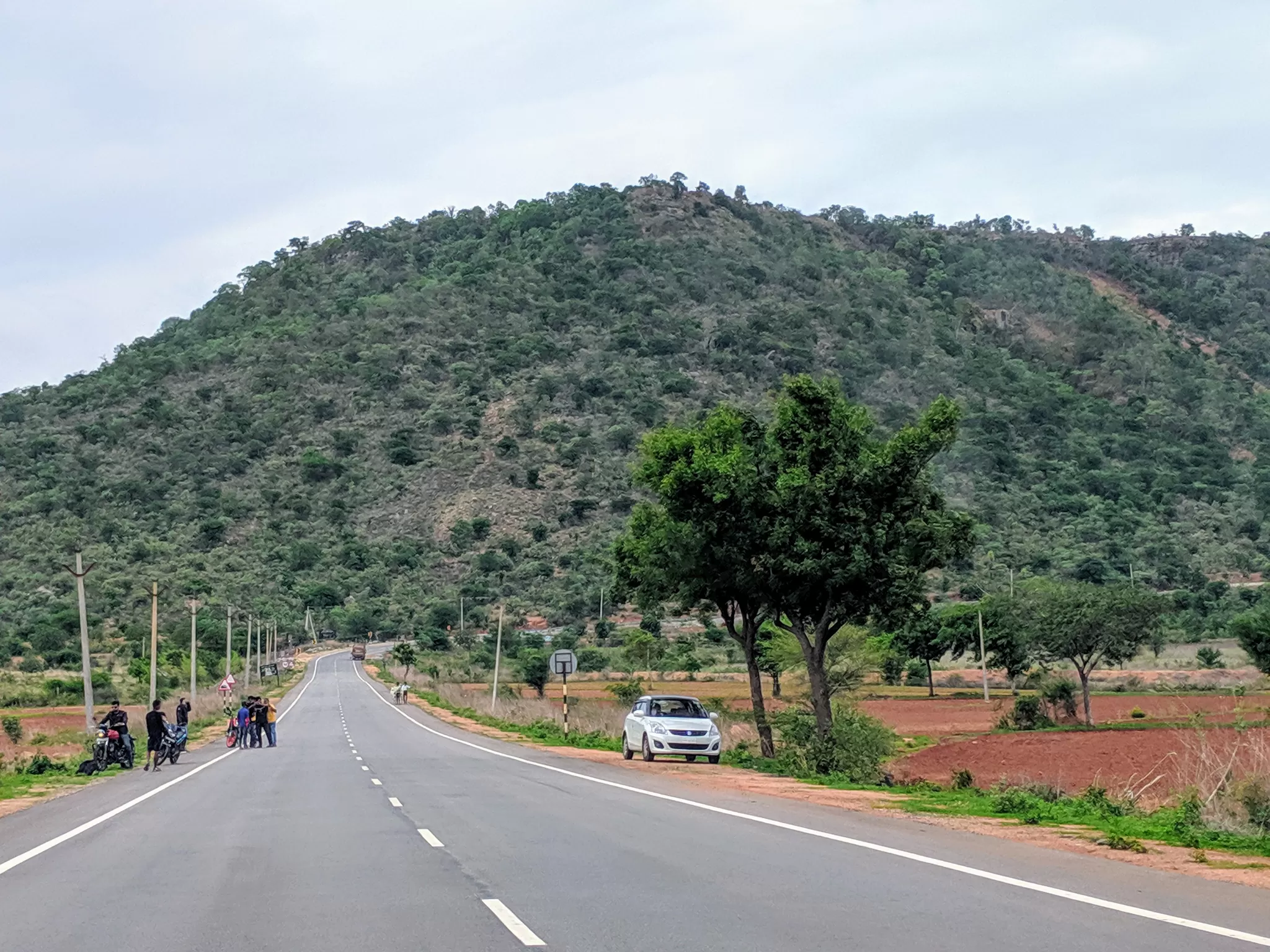 Photo of Amrabad Tiger Reserve, telangana