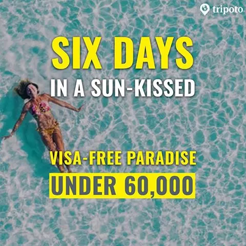 Photo of Ultimate Travel