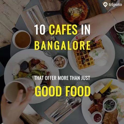 Photo of Best Cafes in B
