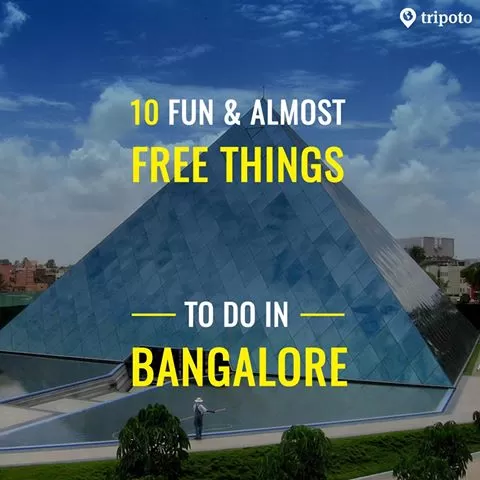 Photo of Fun and Almost 