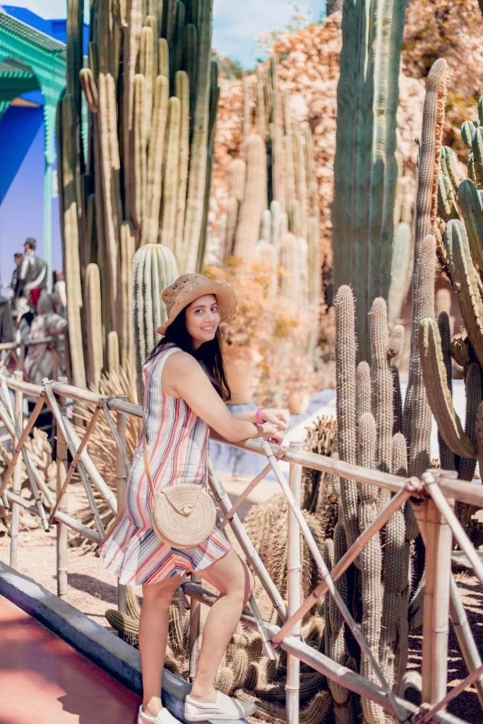 Photo of Jardin Majorelle