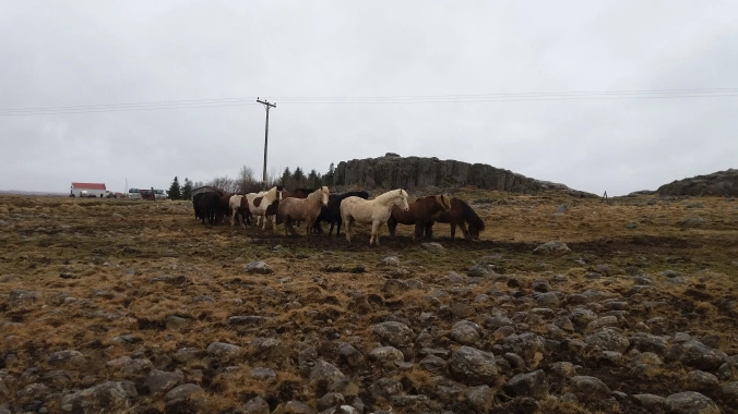 Photo of Snaefellsnes