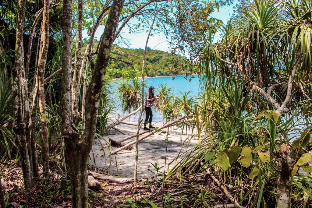 Photo of Penang National Park