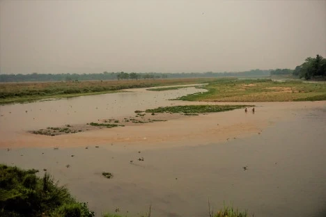Photo of Chitwan National Park
