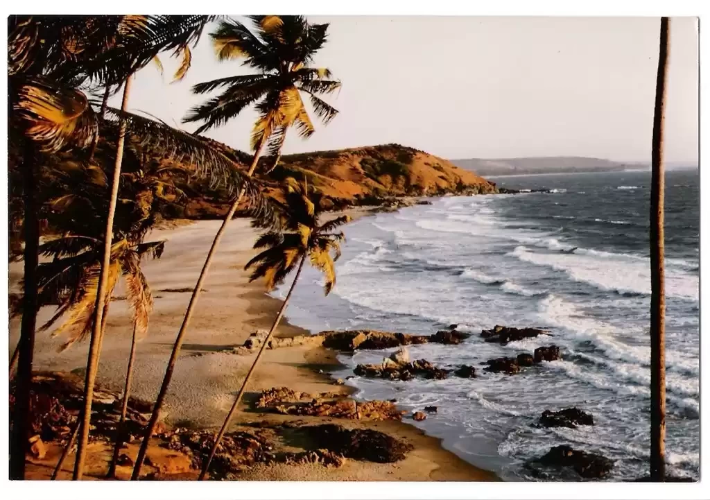 Photo of North Goa