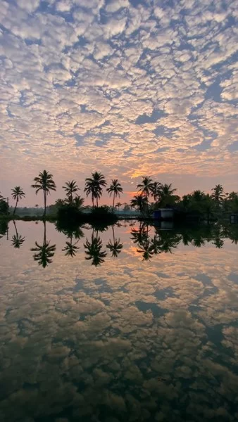 Photo of Morning in God’