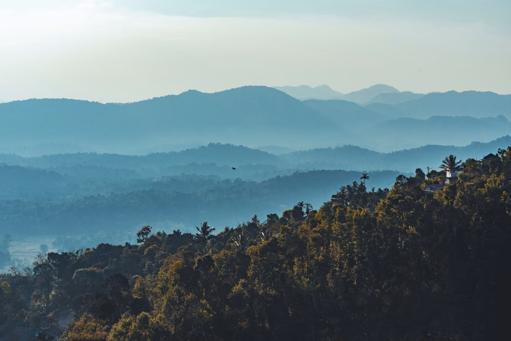 Photo of These are some 