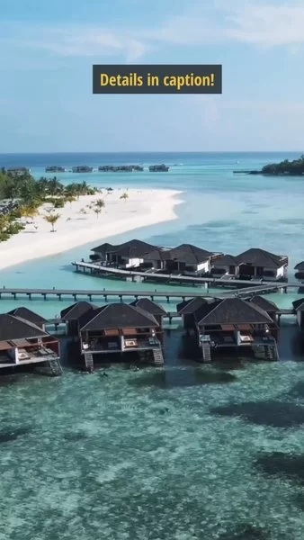 Photo of How to get dron