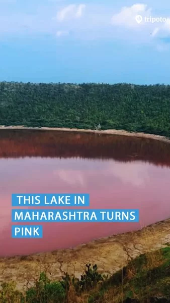 Photo of Did You Know? T