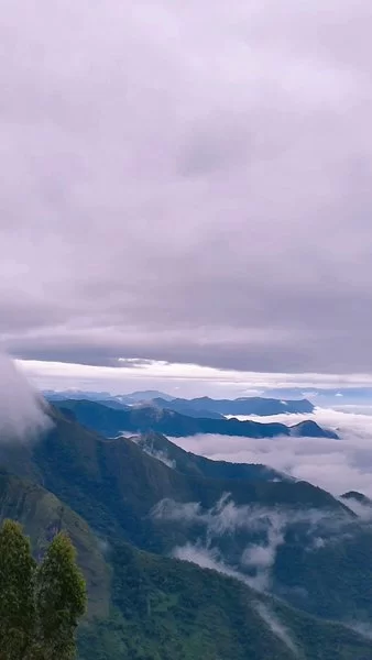 Photo of Mesmerizing vie