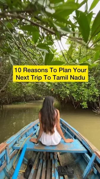 Photo of 10 Reasons To P