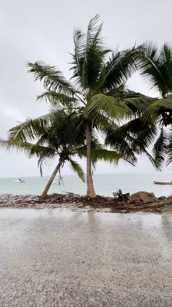 Photo of A beautiful dri