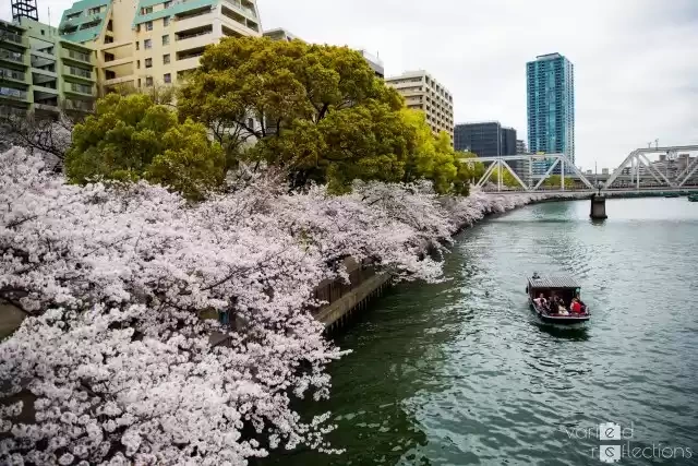 Photo of The first Hanam