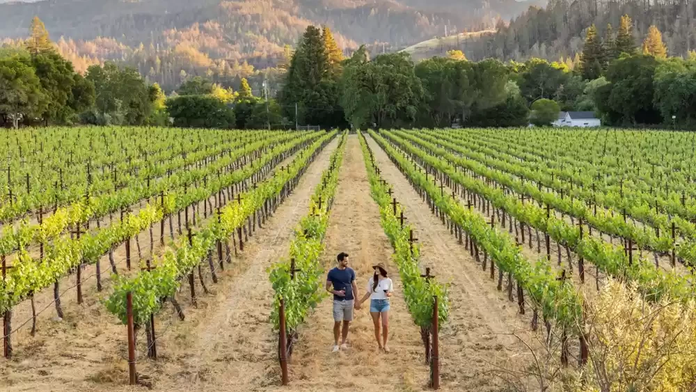 Photo of Ditch The Citie