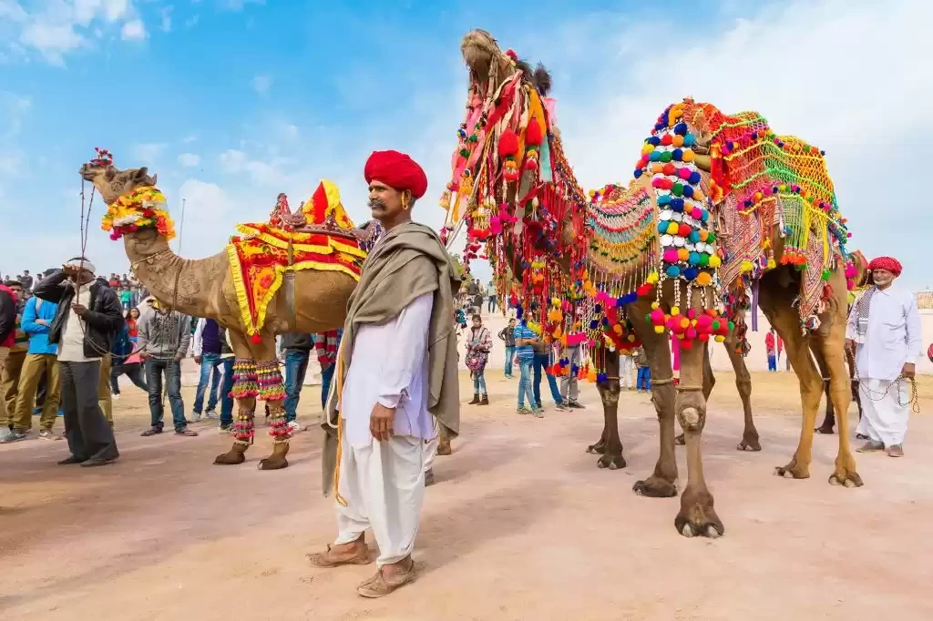 Photo of Pushkar Camel F