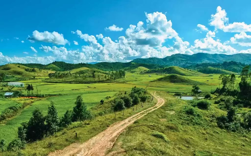 Photo of This Green Vall