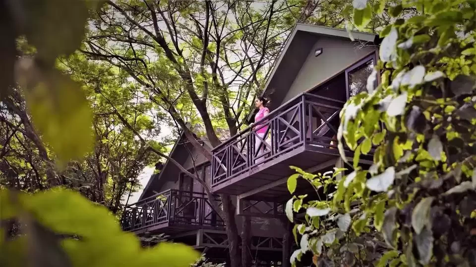 Photo of 21 Best Luxury 