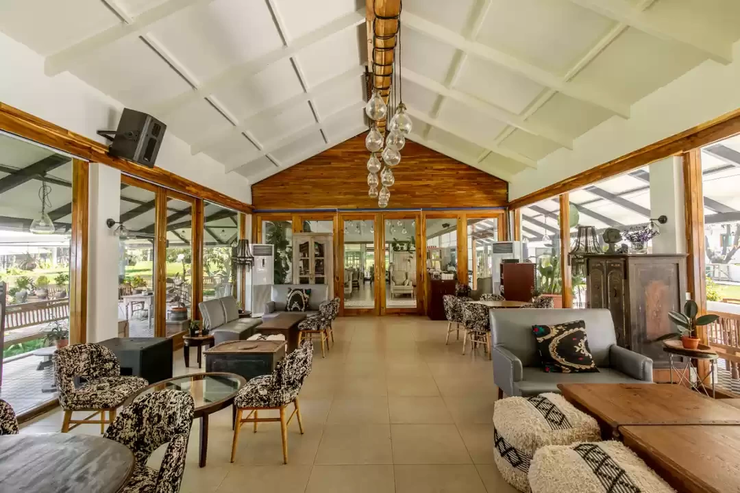 Photo of 'Saltt' is the 