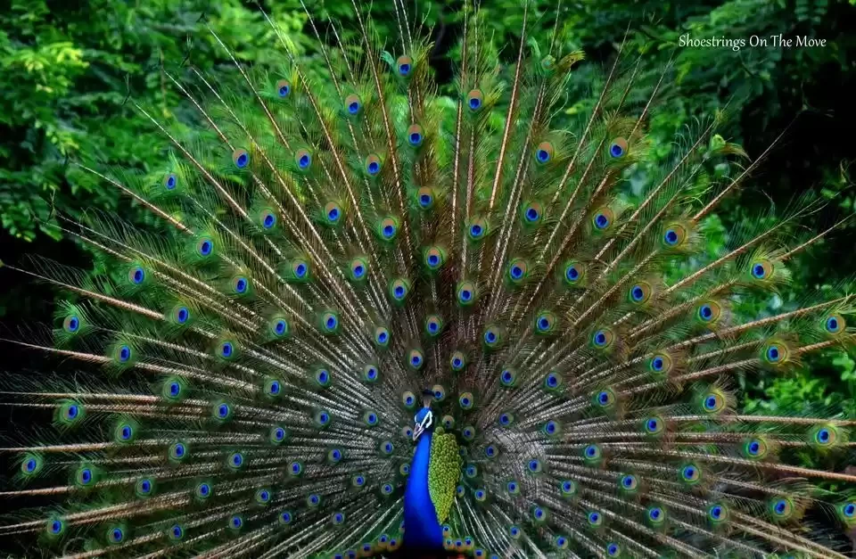 Photo of This Gorgeous W