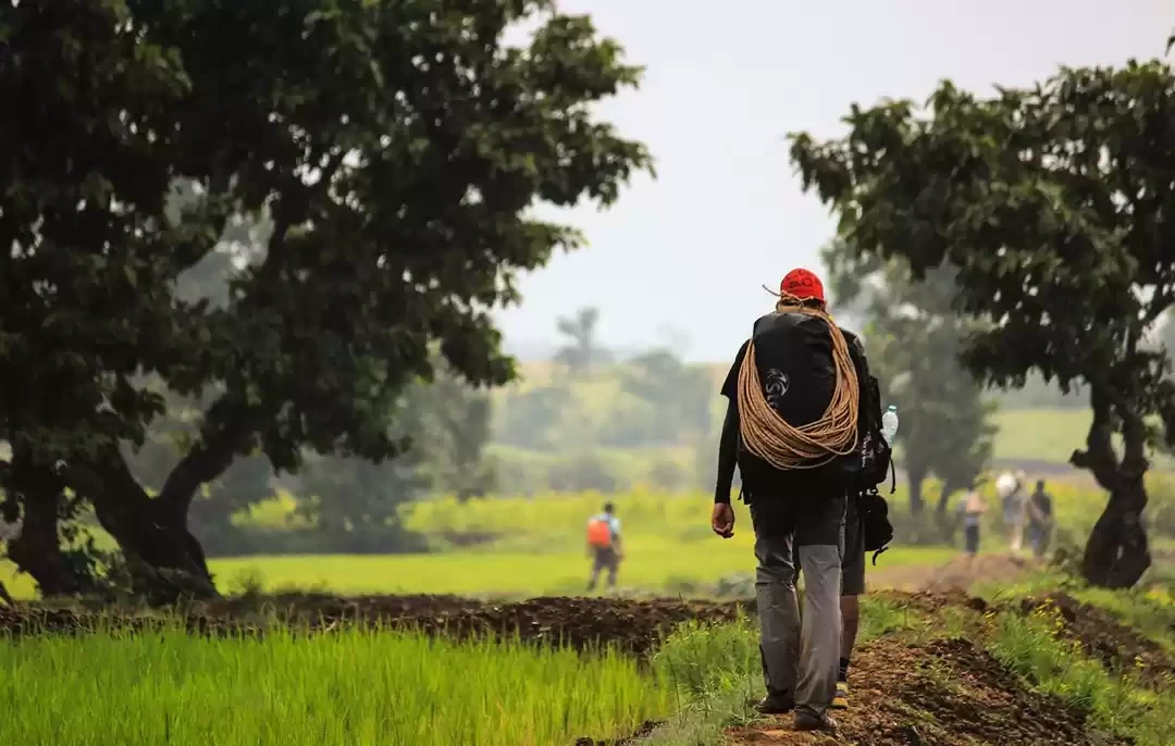 Photo of Gorgeous Monsoo