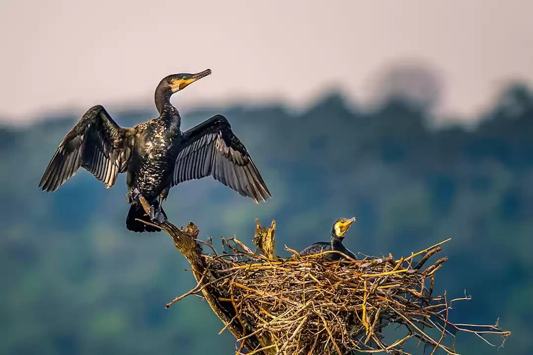 Photo of A Weekend Getaw