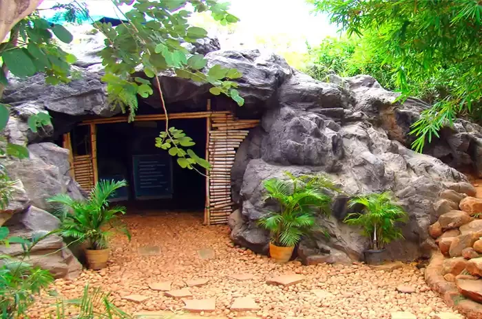 Photo of The Guhantara C