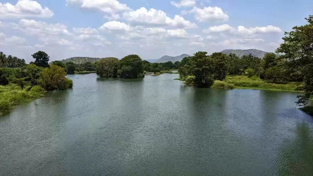 Photo of A tiny river is