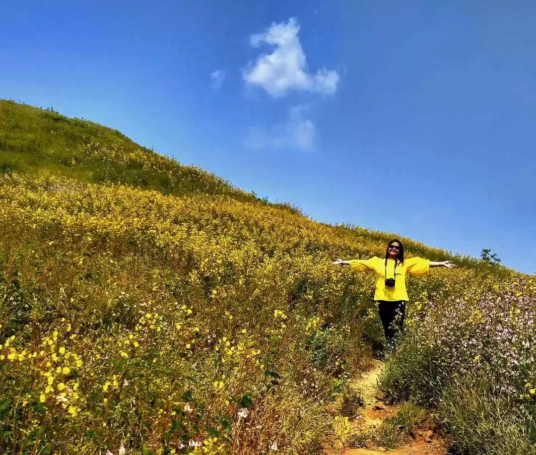 Photo of I Bet you Don't