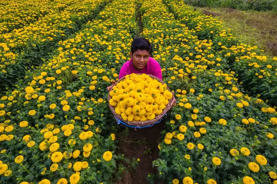 Photo of Explore 'Valle