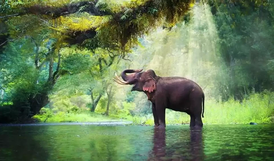 Photo of Best National p