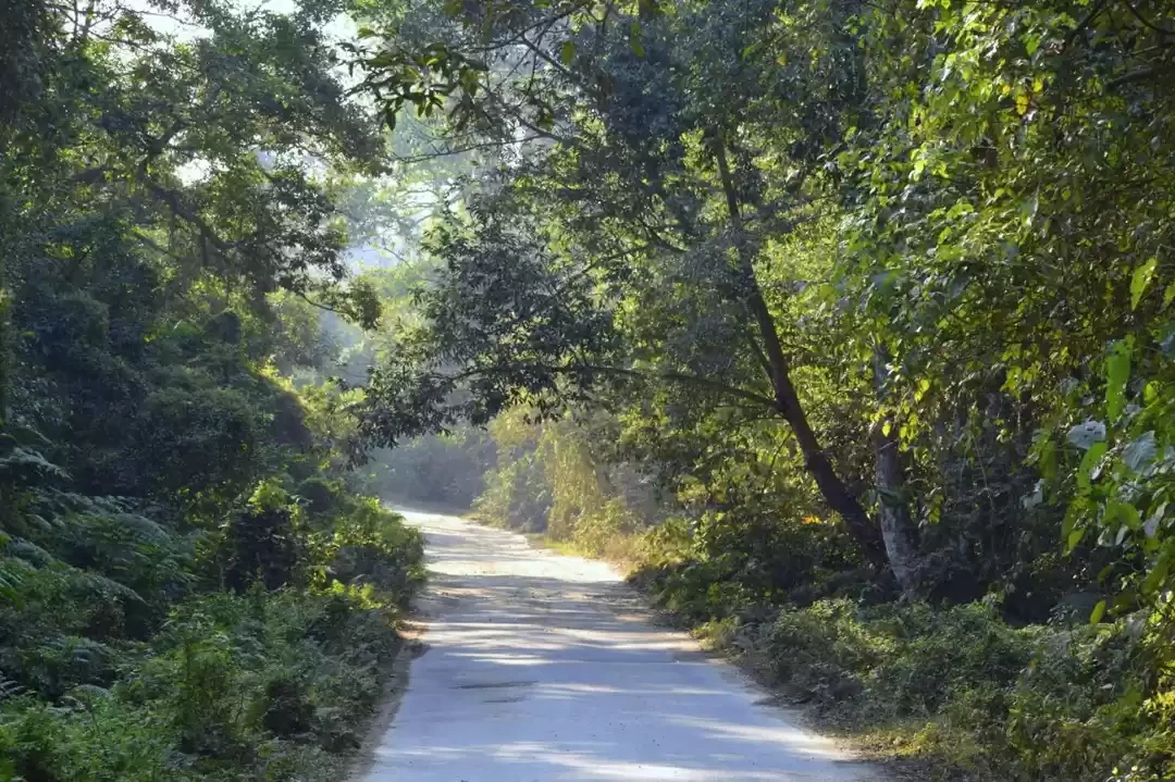 Photo of Birdwatching at