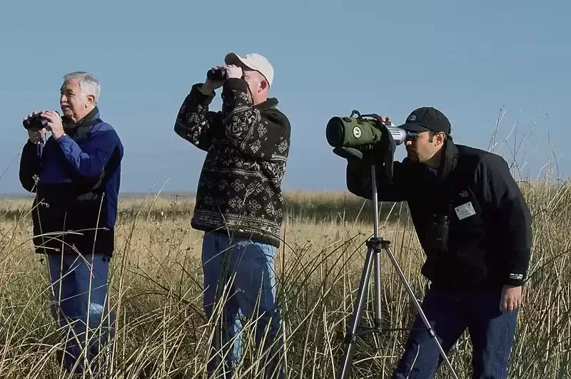 Photo of Bird-Watching I