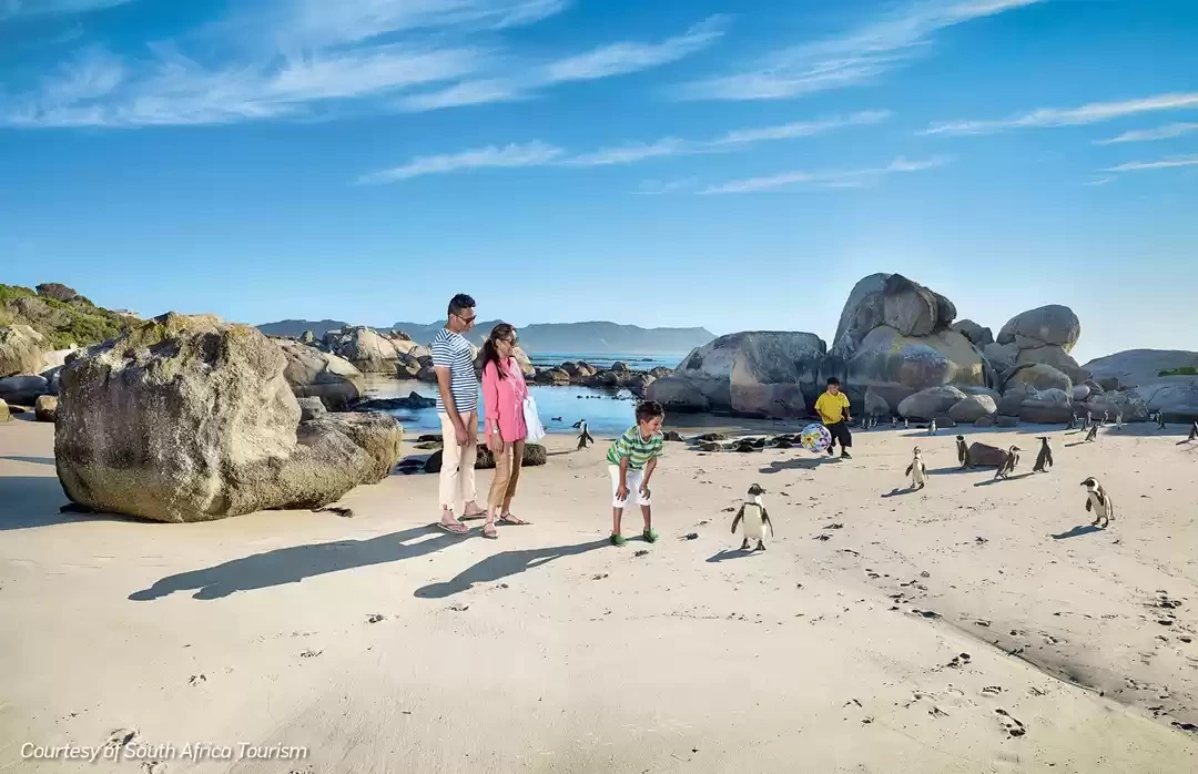 Photo of South Africa Fo