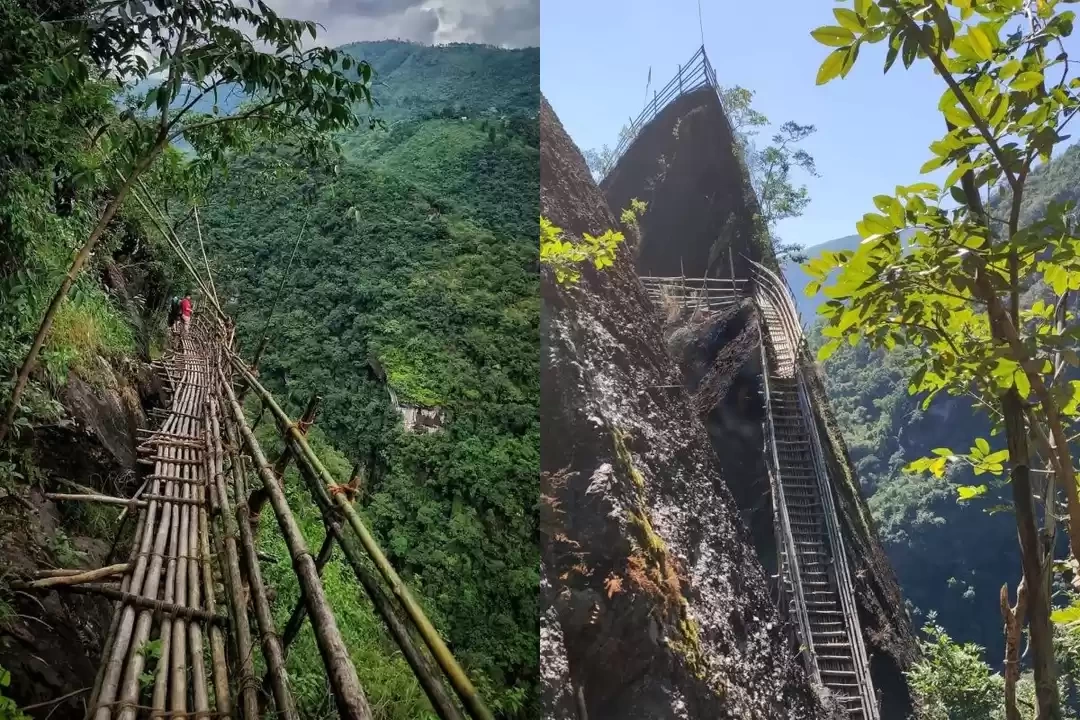 Photo of Guide to Bamboo