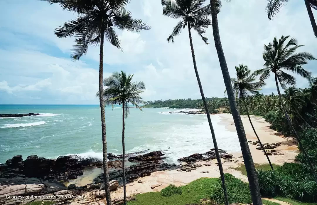 Photo of Landscapes & He