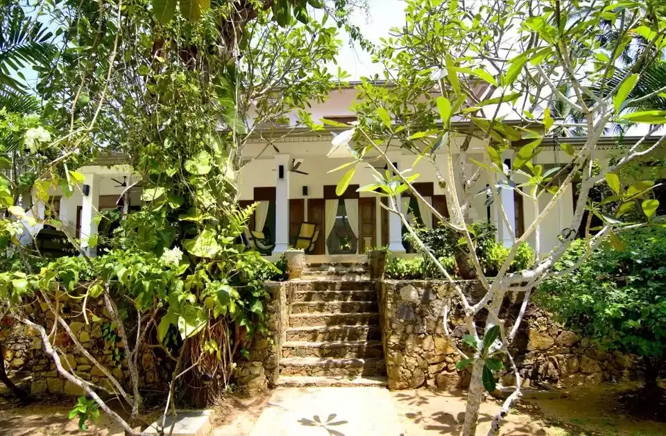 Photo of This Dazzling D