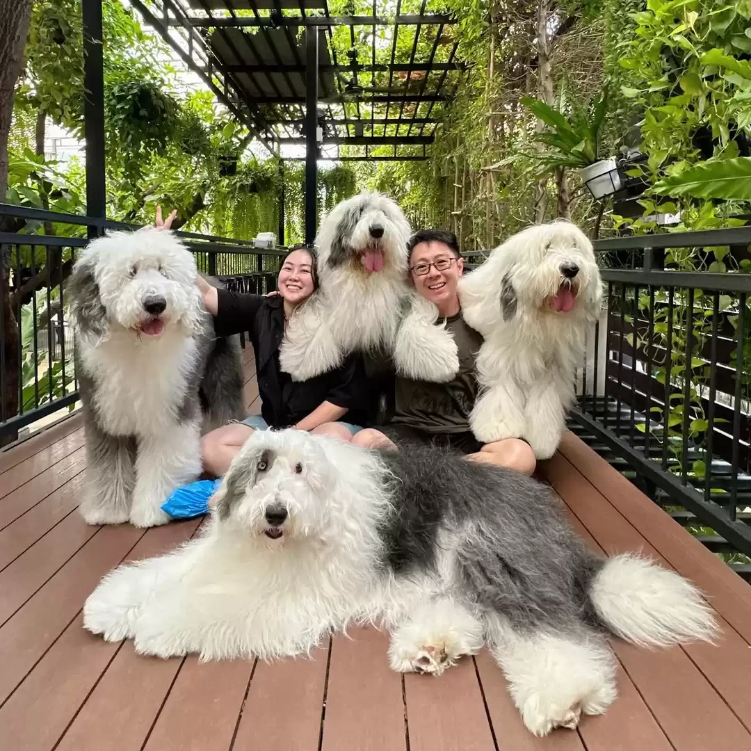 Photo of Visit This Firs