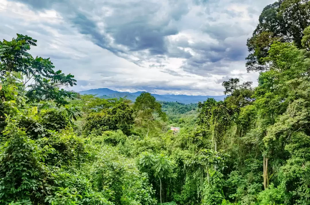 Photo of How I Backpacke