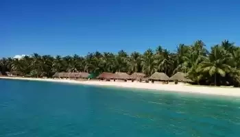 Photo of 10 reasons to t