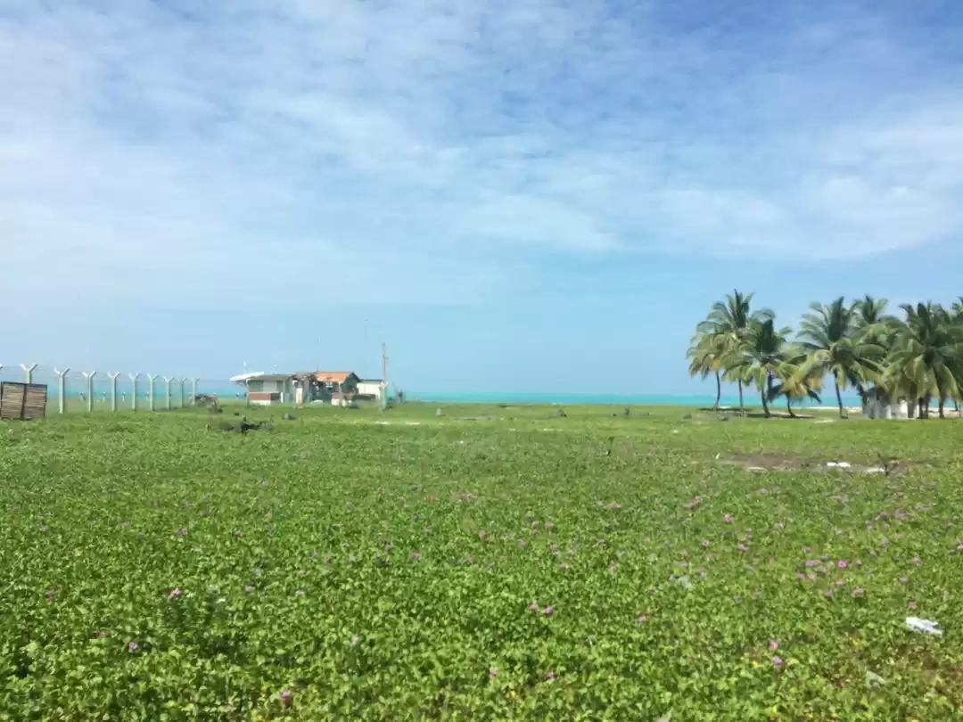 Photo of Coral Paradise 