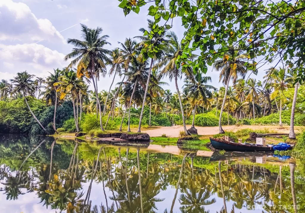 Photo of Poovar Backwaters