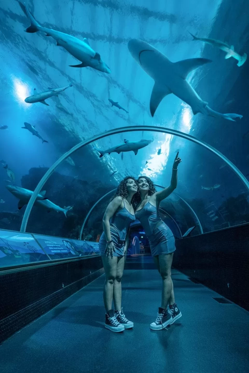 Photo of Thrills, Relaxa