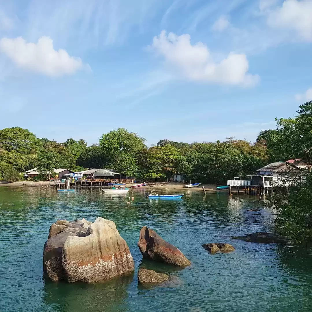 Photo of Singapore’s Les