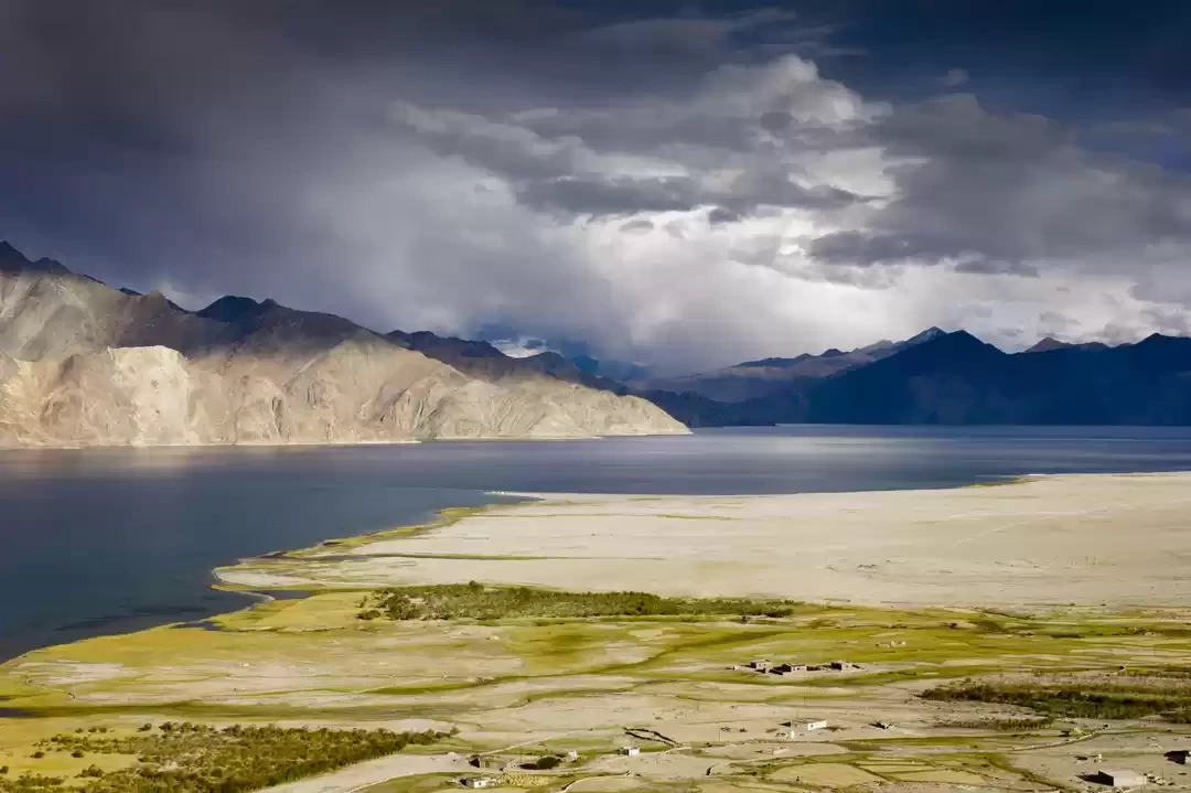 Photo of What Dreams Are