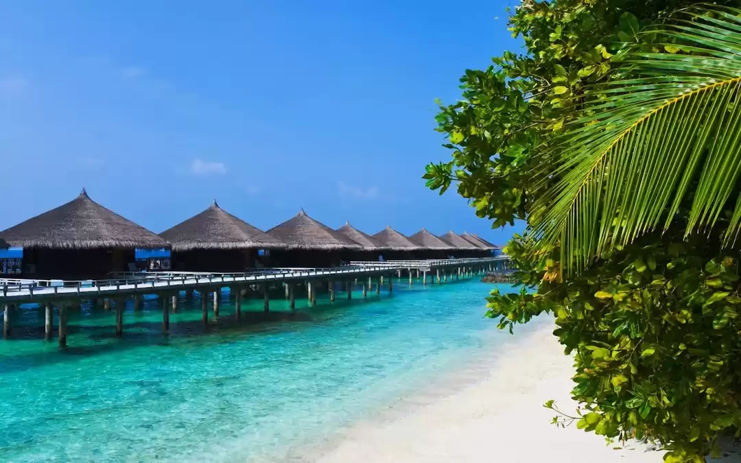 Photo of 10 Places To Vi