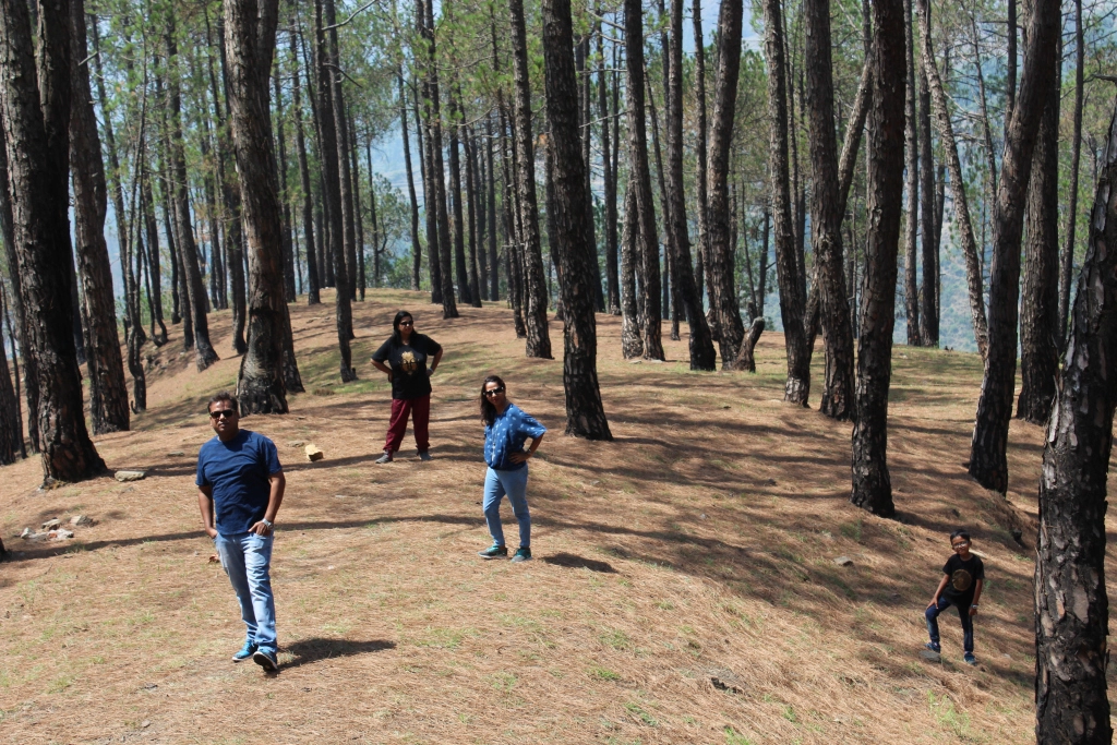 Photo of binsar wildlife sanctuary