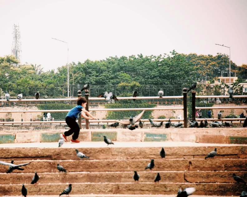 Photo of Ulsoor Lake