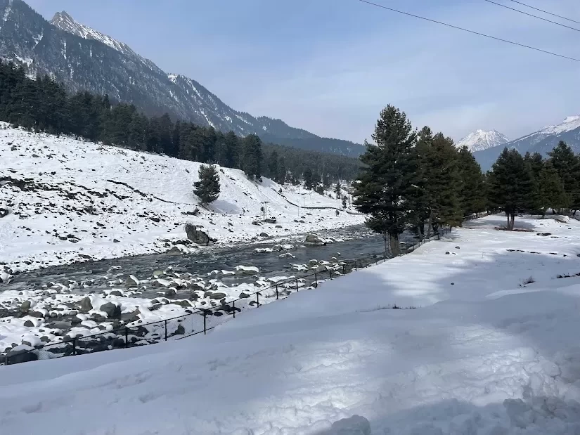 Photo of Want to Experience S